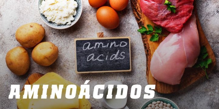 aminoácidos